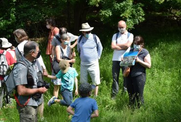 RANDONNÉE MILLE PATTES DANS LA VILLE ET LE PARC - 12 JUIN 2021